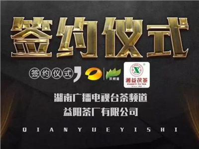 湘益茯，美茗揚(yáng) 丨湘益茯茶與茶頻道達(dá)成長(zhǎng)期戰(zhàn)略合作