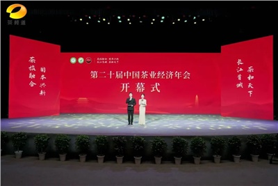 【聚焦第二十屆中國茶業(yè)經(jīng)濟(jì)年會】益陽茶廠榮獲“民族團(tuán)結(jié)互助企業(yè)”、“2024年度茶業(yè)重點(diǎn)企業(yè)”榮譽(yù)稱號